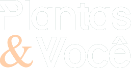 Blog de Plantas: Plantas e Você