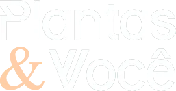 Blog de Plantas: Plantas e Você