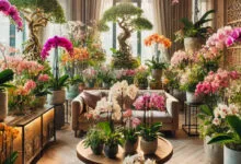 Como Cuidar de Orquídeas: 10 Dicas Infalíveis para Mantê-las Sempre Floridas