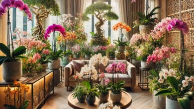 Como Cuidar de Orquídeas: 10 Dicas Infalíveis para Mantê-las Sempre Floridas